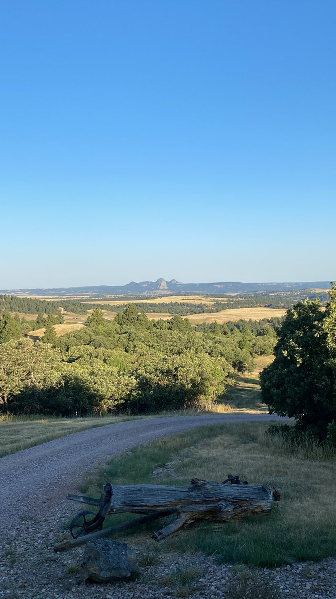 iron67mike's tweet photo. Good morning.
#DevilsTower #FirstNationalMonument #ThatsWy
#bearlodgemountains https://t.co/Zj4mOCBE8A