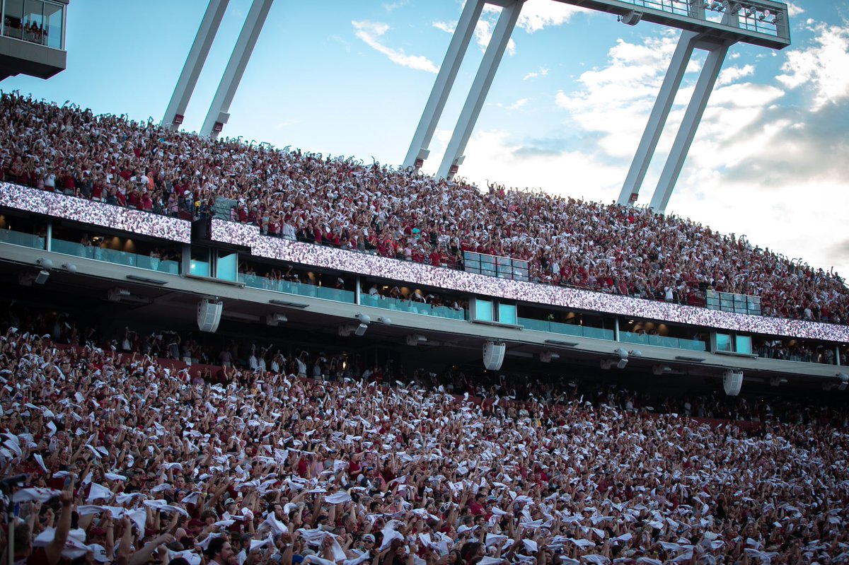 South Carolina Football tweet media