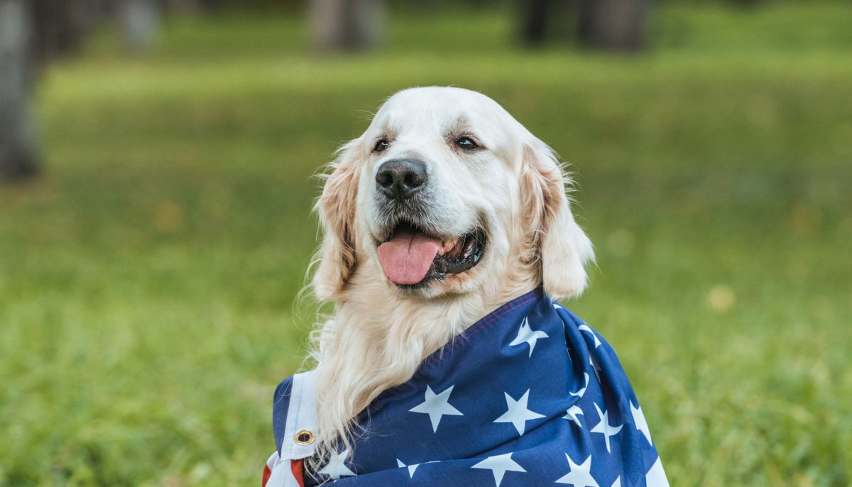 #HappyLaborDay
“Alone we can do so little; together we can do so much.”
Helen Keller