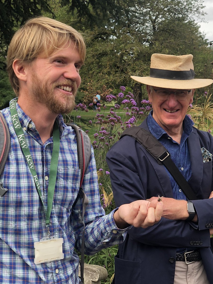 PollinatingLT's tweet photo. Another wonderful day for a PLT Member tour of @kewgardens by Lead Researcher @HaukeKoch. Beautiful September flowers and late season pollinators. #pollinators https://t.co/OISqB3ALW3