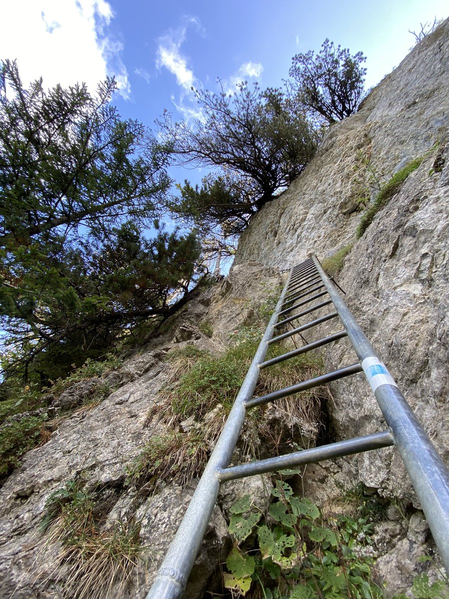 sandro_w_hess's tweet photo. …und den #Bocksberg nehmen wir gleich auch noch mit. 😎👍🏻 #Schuttannen https://t.co/8blncSBGbJ