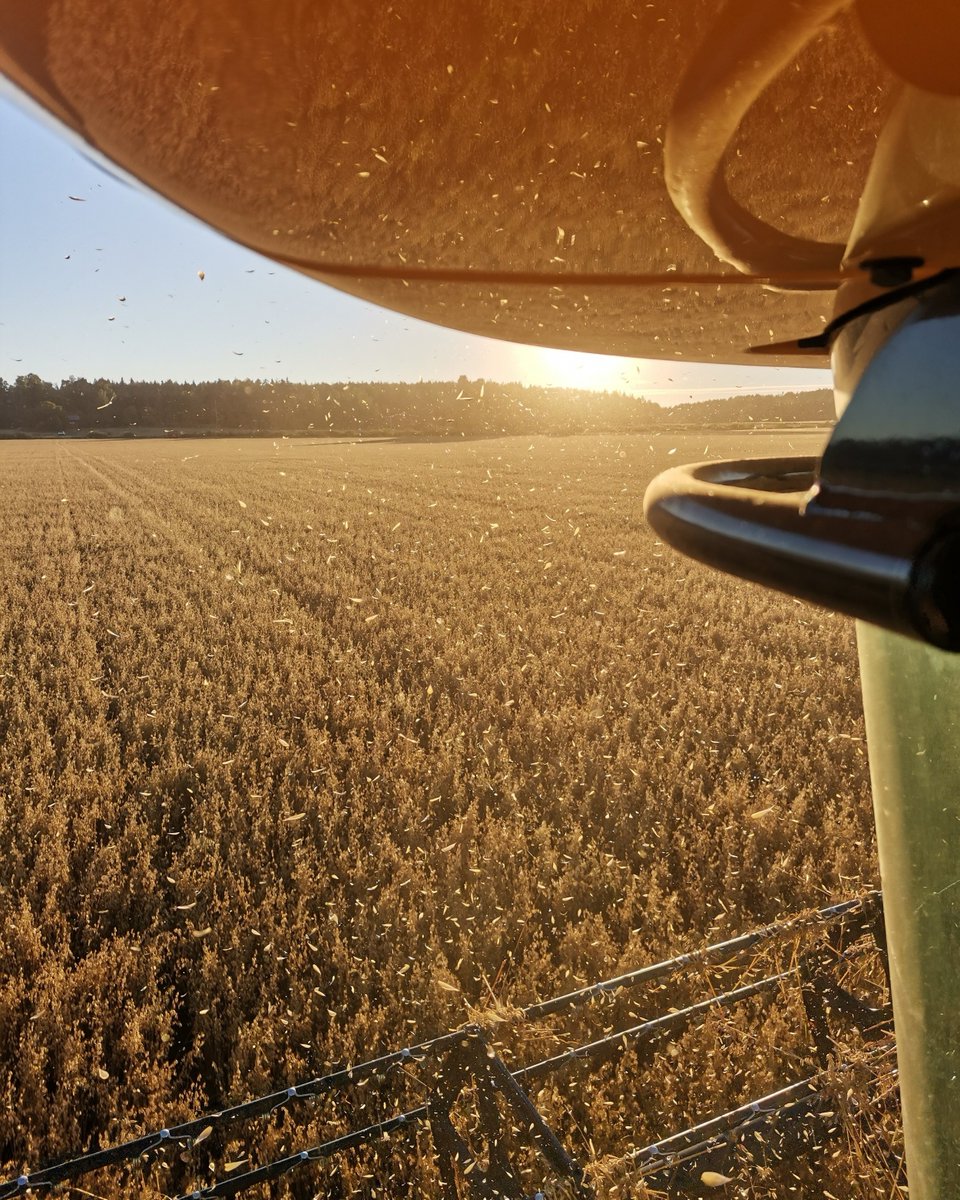 Hyvää suomalaisen ruoan päivää! 🇫🇮💙