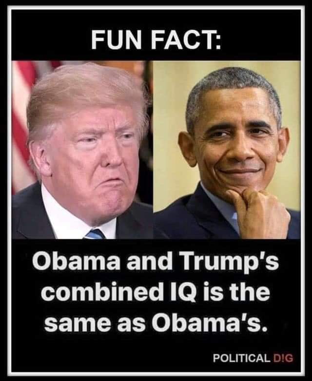 🌊Sheryl Lynne #VoteBlue2025 tweet media