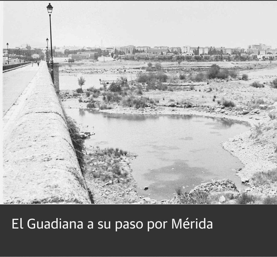 Julián Mora Aliseda. tweet media