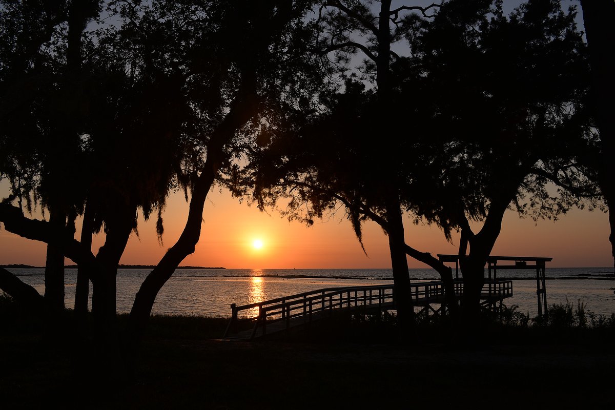 tidewatertours's tweet photo. Come Relax with us this Labor Day.

"Come to me, all you who are weary and burdened, and I will give you rest" Matthew 11:28

☎️ (352) 543-9523 or 🔗 https://t.co/sQOgcKZ81B https://t.co/ZaRN0UiKB1