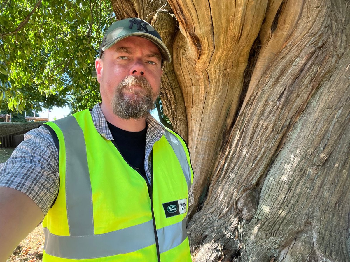 jonathanboakes's tweet photo. Lots of huge, old estate trees at Burghley, with individual characters. Many have stories attached. Itโs a very old estate, 1500's originally. Great to capture the enormous trunks for the live visuals, immortalising them forever. #trees #ancient #sweetchesnut #lightningtree #3d https://t.co/1KzG2JokBw
