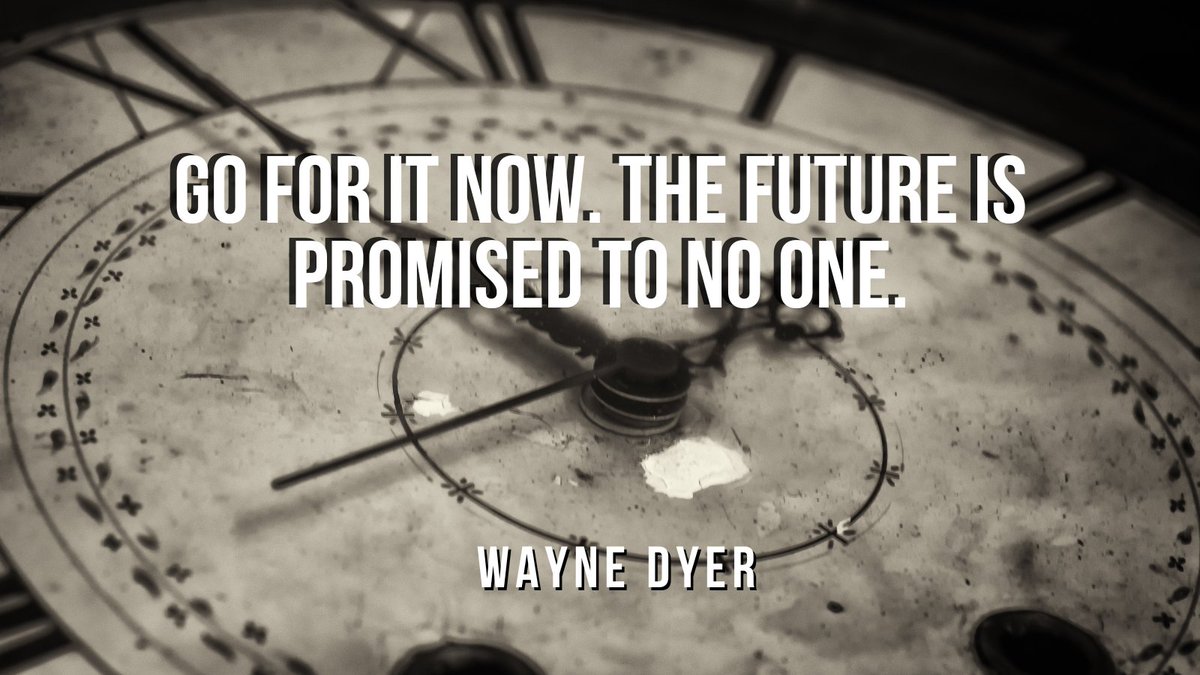 How is your future looking?

#lawn #lawncare #landscaping #lawncarefrank