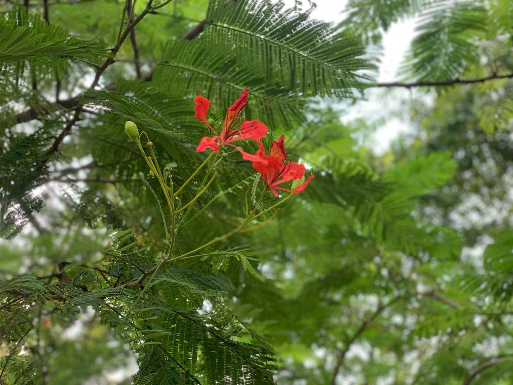 Yadab Devkota tweet media