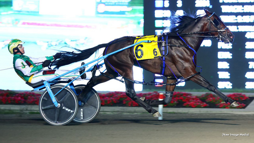 trotinsider's tweet photo. Stockade Seelster’s undefeated two-year-old campaign continued in style on Saturday night (Sept. 3) at Woodbine Mohawk Park, setting a new lifetime mark while pacing the fastest mile by a freshman in Ontario Sires Stakes history » https://t.co/plbtxRVI11 #harnessracing https://t.co/YV34zdLy8u