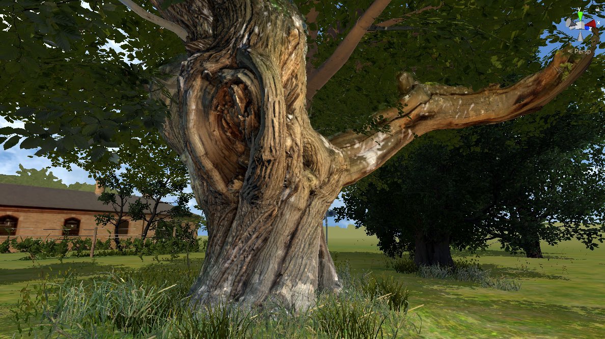 MattBearClark's tweet photo. Lots of huge, very old trees at Burghley, with individual characters. Many have stories attached to them. Very special to capture the enormous trunks for the live visuals, immortalising them forever. #trees #ancient #sweetchesnut #lightningtree #3d https://t.co/Fygf3bV2wL