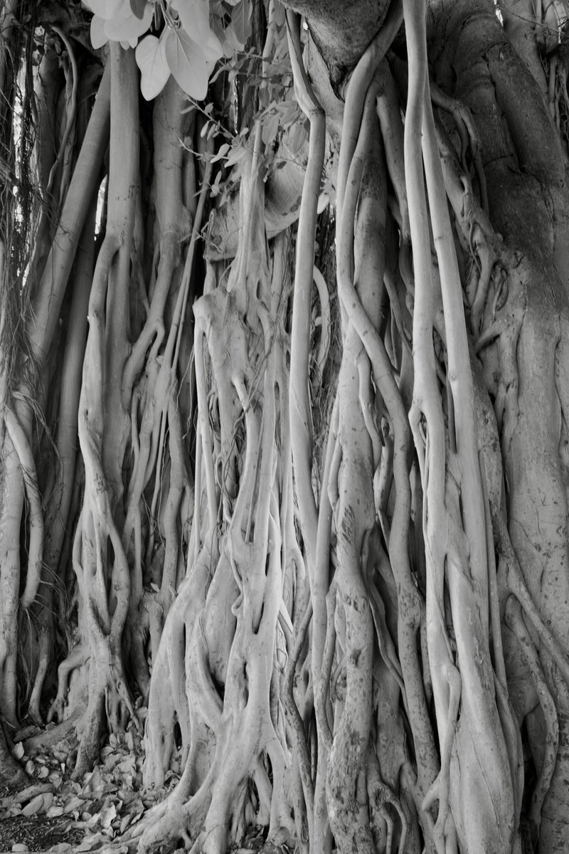 rick_redd's tweet image. Rick Redd@rick_redd