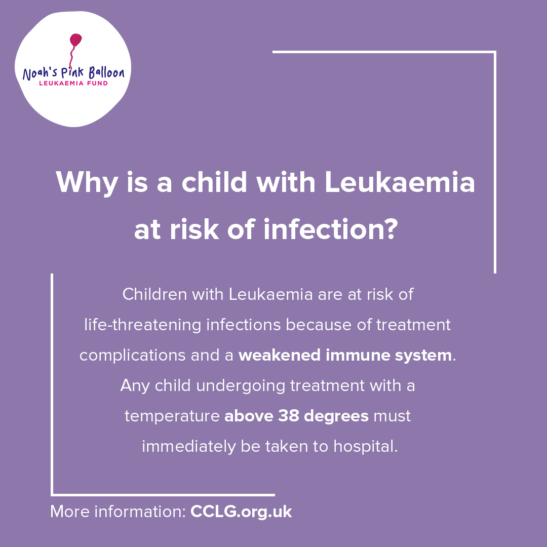 NoahsPinkB's tweet photo. How much do you know about leukaemia? Find out more in our helpful info cards >>
#AuctionForHope #NPBAuction #Charity #Leaukaemia #CancerResearch #research #Fundraising #Fundraise #Donate #LeukaemiaResearch #LeukaemiaAwareness #Pink #ThisIsBloodCancer #BCAM2022 https://t.co/VwrVPVu7R3