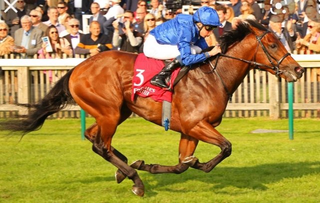 tds122's tweet photo. RIP champ . gutted #Coroebus https://t.co/qu40FaozwB
