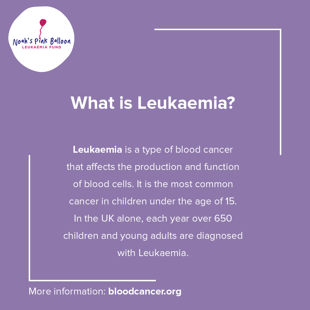 NoahsPinkB's tweet photo. How much do you know about leukaemia? Find out more in our helpful info cards >>
#AuctionForHope #NPBAuction #Charity #Leaukaemia #CancerResearch #research #Fundraising #Fundraise #Donate #LeukaemiaResearch #LeukaemiaAwareness #Pink #ThisIsBloodCancer #BCAM2022 https://t.co/VwrVPVu7R3