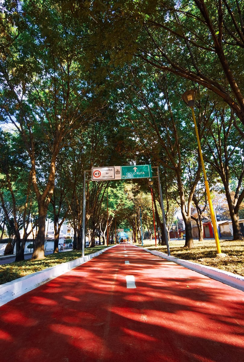 bithumano's tweet photo. La ciclovía de Cochabamba vuelve renovada. Túneles iluminados, un puente en la Av. Villarroel, señalización y el gusto de pedalear entre árboles. Buena gestión del @gam_cochabamba que se dio la tarea, durante meses de mejorar estos espacios. Bien ahí 👏👏👏. https://t.co/k5w7z3MCcr
