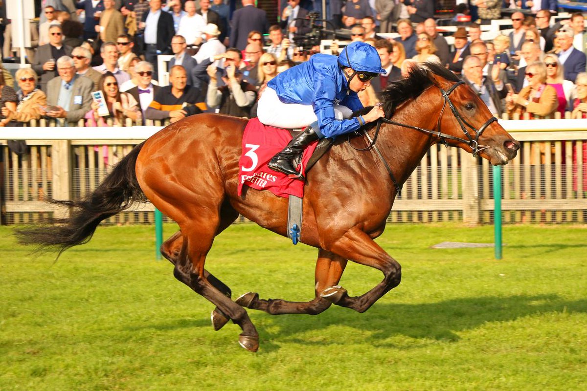 Stephen R Power tweet media