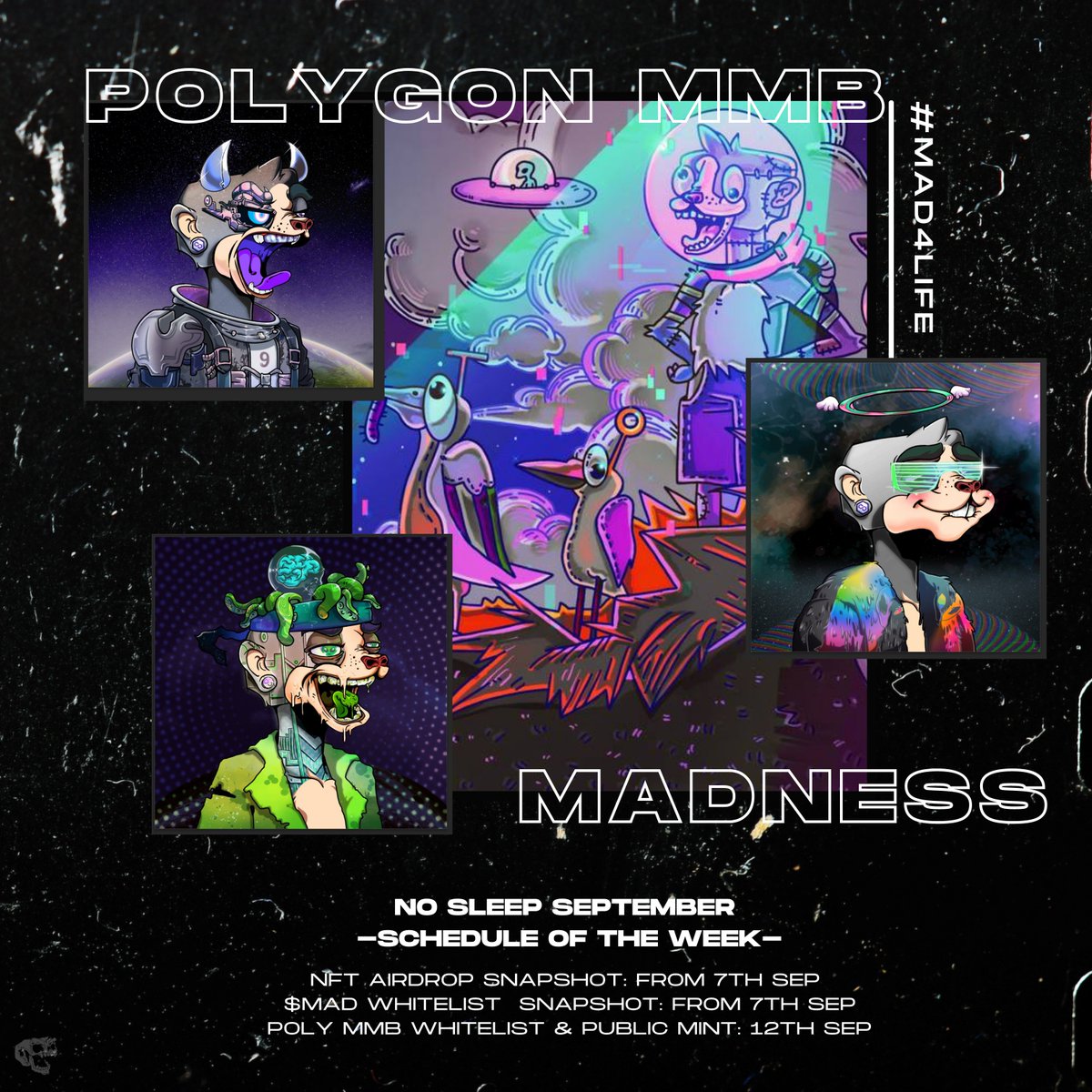 Mad Meerkat Burrow | Mad Merge Live tweet media