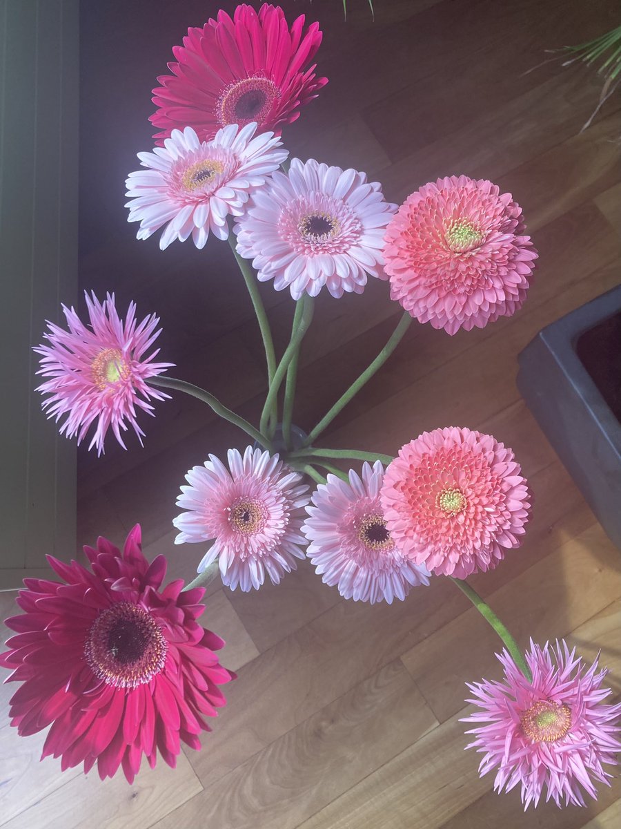 karmalijn's tweet photo. @DebbyToorenaar @DaniellevdB @FloriadeExpo Overvloed in een vaasje hoor! 🌸🌺♥️ https://t.co/a3l8JhaU2T