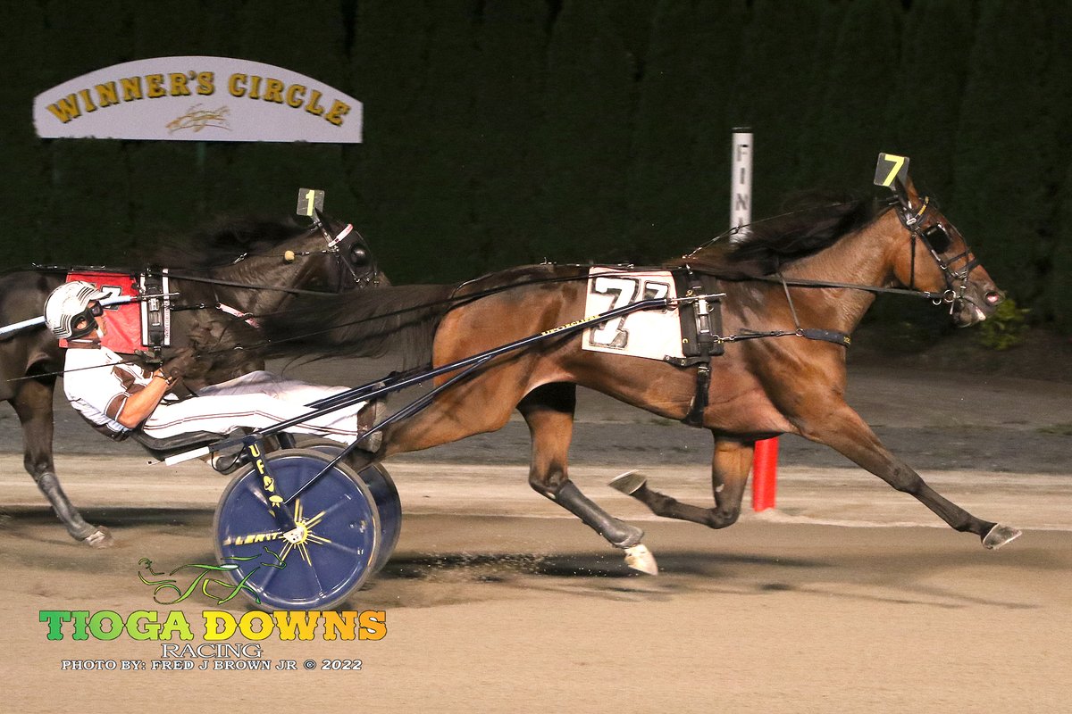 ShadesOnRacing's tweet photo. Joviality S (@MarcusMMelander / Sears) set a new track record at #TiogaDowns last night for 3YO FT in the @SireStakesNY, stopping the timer in 1:51.3!

📸Fred Brown https://t.co/PG5h5Mvjyn