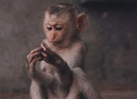 GummySandile's tweet photo. @Nqindi_Faku @Nkosi_Shebi Yey guys support iyadura when I'm about to cum yehla Mjita phuza'manz relax kanti syalwa yin😩😩or sprover point https://t.co/tVKgkB0YUx