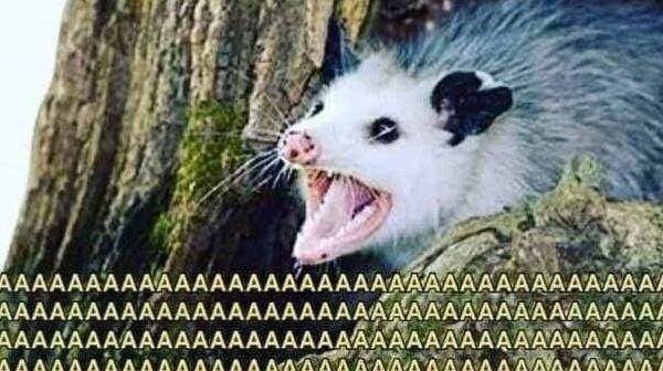 Unos de mis favoritos @soyMartinMazza me dió follow ????? *gritos internos* https://t.co/neSFKL3Cqs