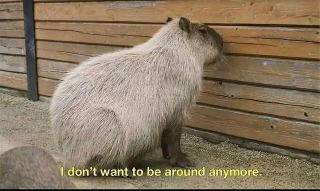 1-3 in games today.
have a couple of days to get more practice in and improve before the next.