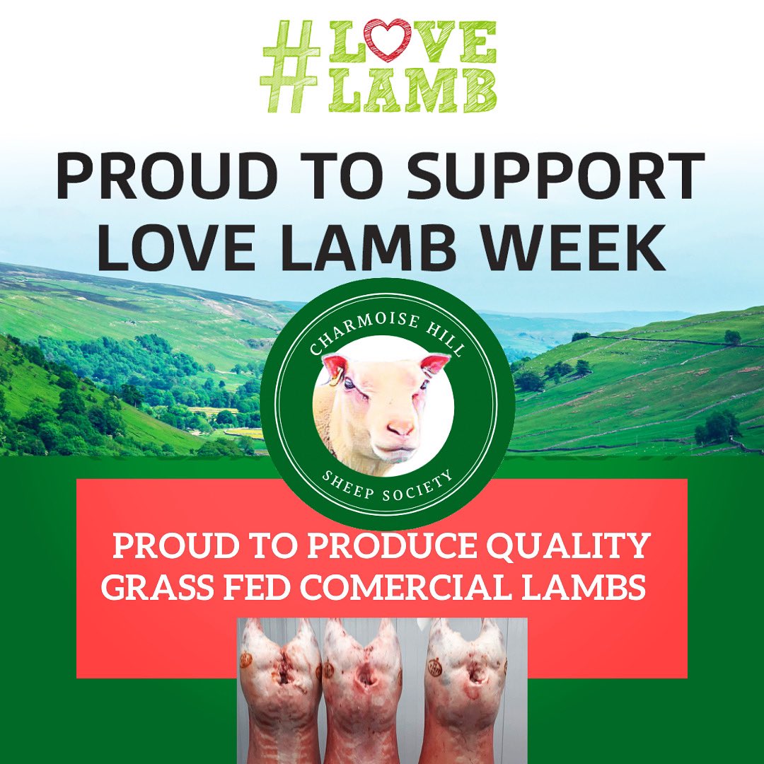 charmoiseuk's tweet photo. The meat from Charmoise is known to have exceptional eating quality.
Take a look at some examples of lamb produced from Charmoise rams on our website at
https://t.co/o7hYvJ9e0m
#lovelamb #lovelambweek #charmoise https://t.co/0isFnmVaoq