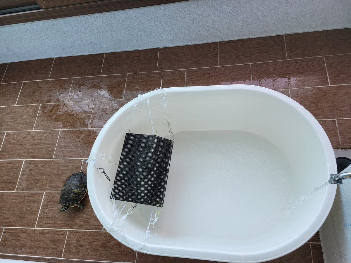 거북이 집 청소완료