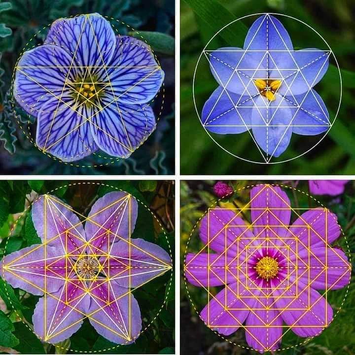 Gerçekten biz, her şeyi bir ölçü ve dengede yarattık. Kamer-49