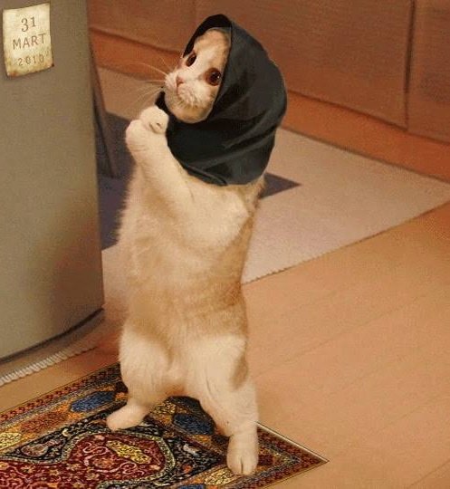 cringyhooman's tweet photo. Ya Allah aaj ka match jeetwa den. Please. https://t.co/yOmLUTRCLL