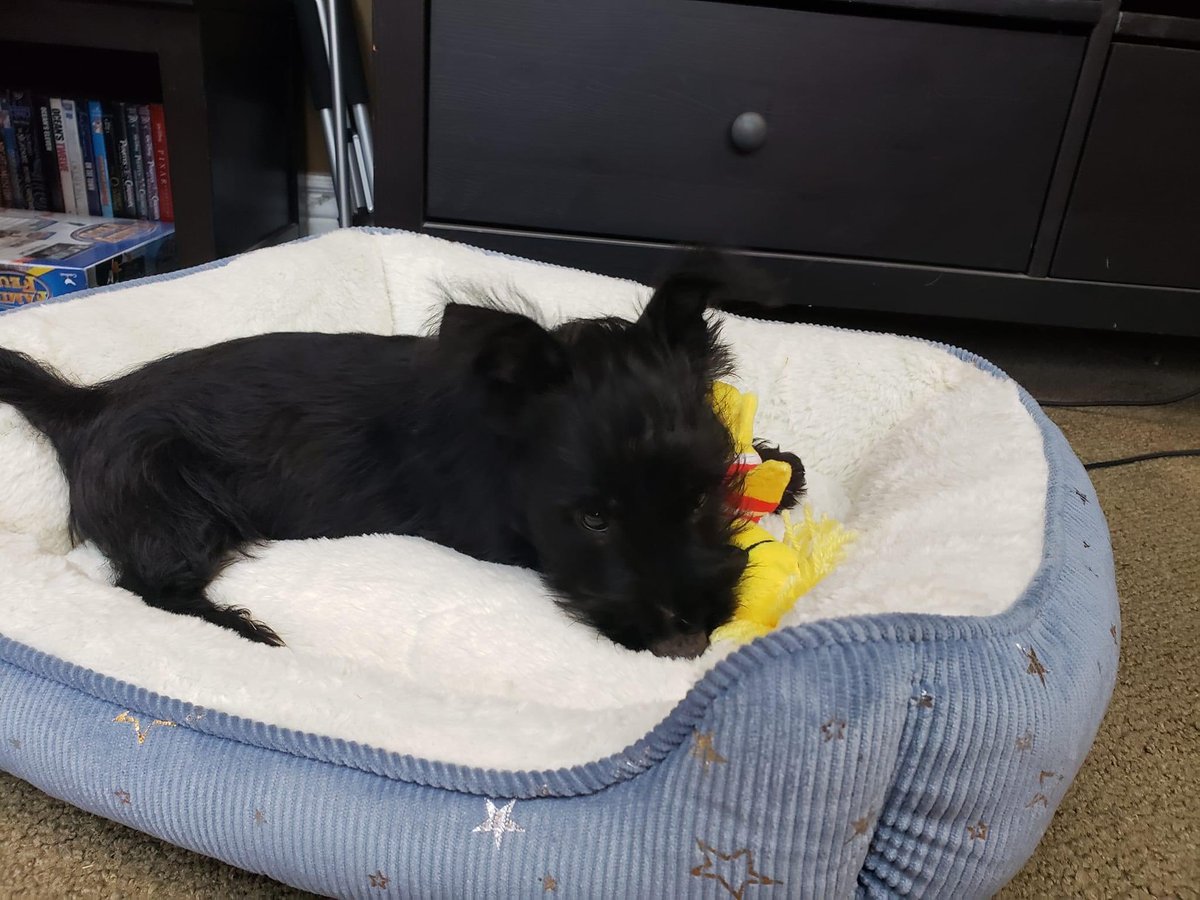 Dr. Hunter Gabbard tweet media