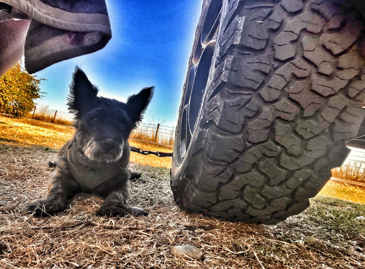 rainbowjeep's tweet photo. @THEJeepMafia https://t.co/8RXlPx30GU