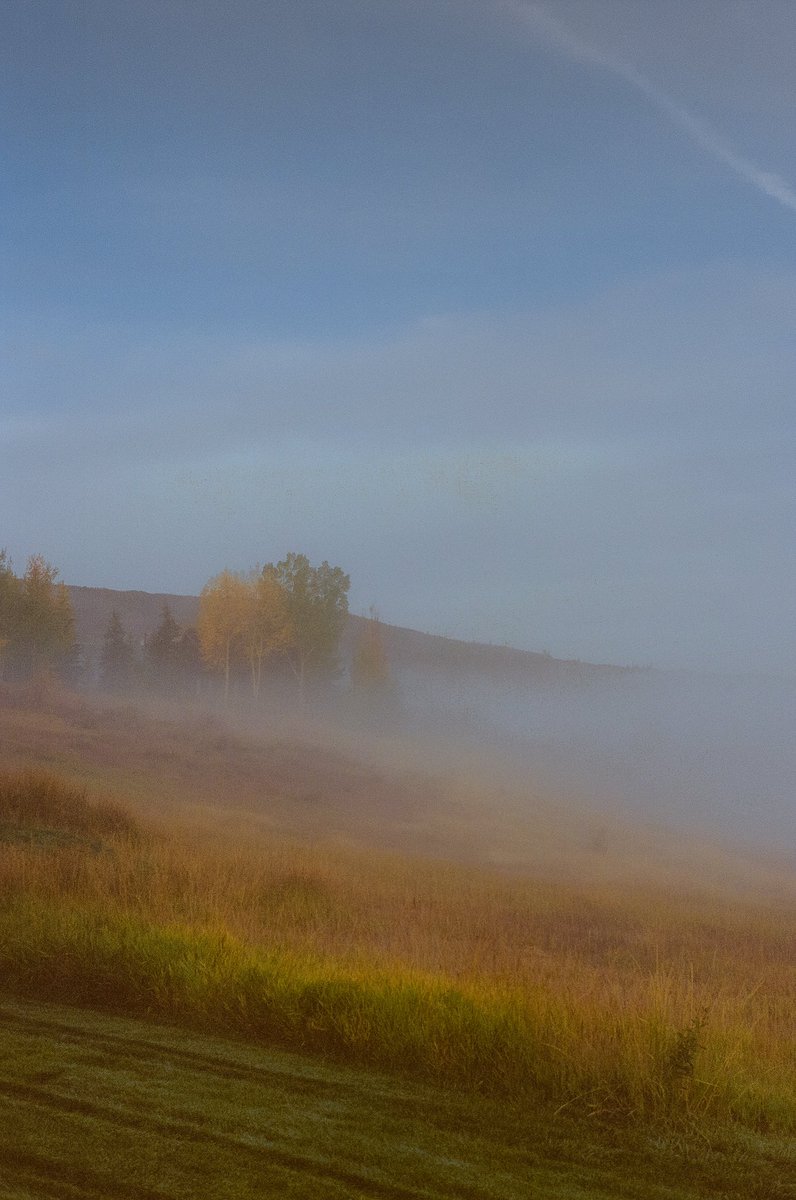 AlexKittoe's tweet photo. Foggy scenes on 35mm https://t.co/Z7kdOSerxB