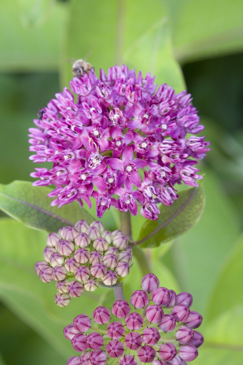 Deep Roots KC tweet media