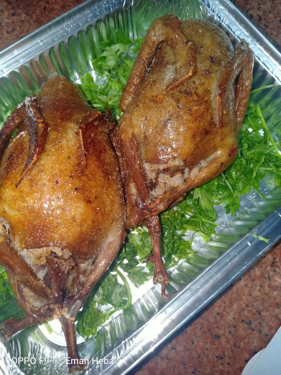 #البطvsالحمام
احلى حمام ممكن تطلبه مننا يا ناس يا عسل الحمام وصل 😋🥰