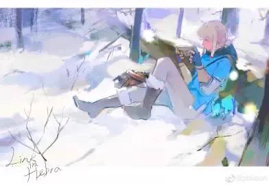 #botw #ゼルダの伝説 