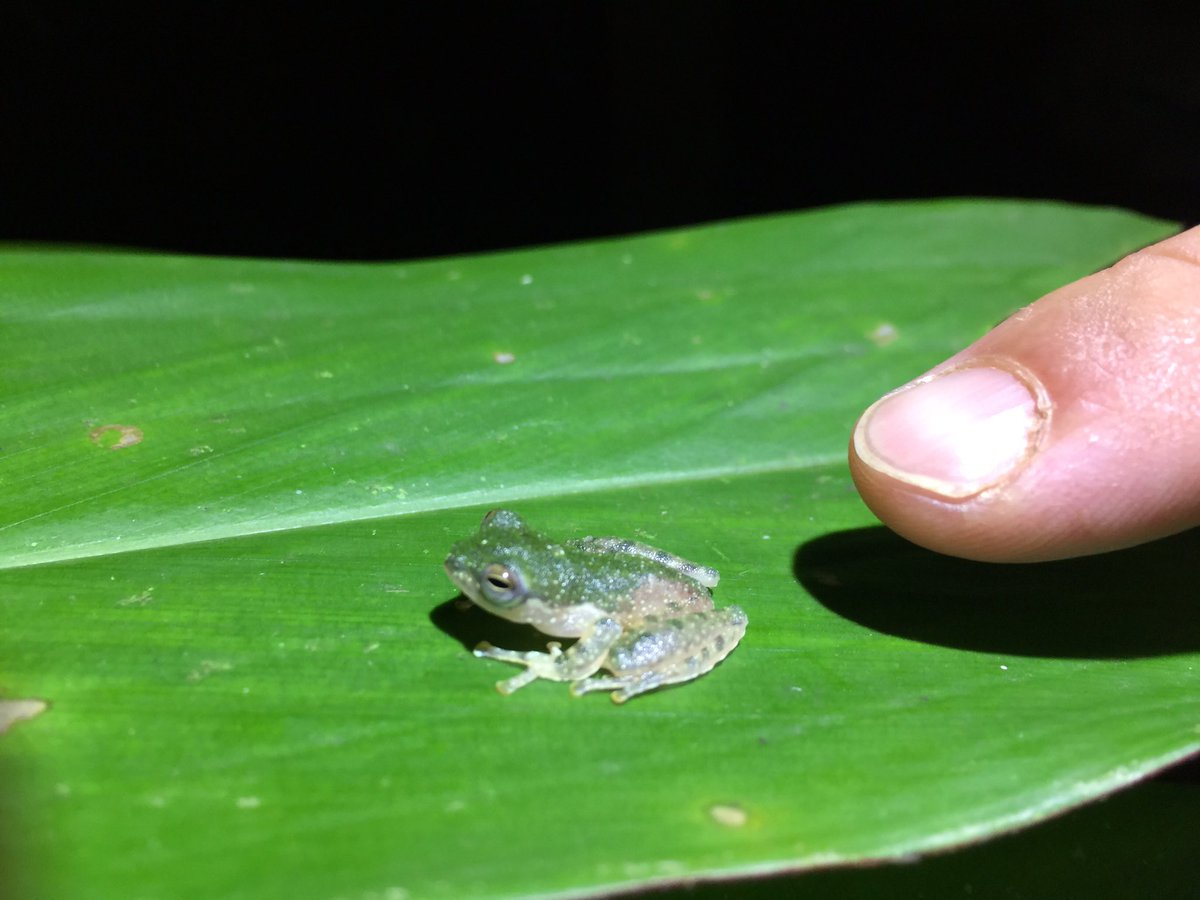 Jennifer Sheridan tweet media