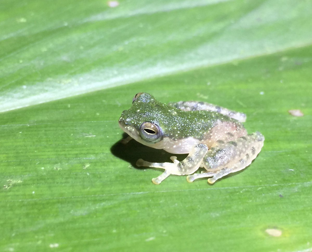 Jennifer Sheridan tweet media