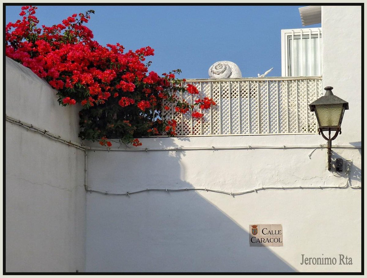 TurismoRota's tweet photo. Calles y #rinconesconencanto como este que nos regala #jeronimorta para desearos una feliz tarde de #domingo y buen comienzo de semana 🤗😍
.
#descubrerota #disfrutarota #rotasabeafelicidad
.
Beautiful #charmingcorners downtown in #rotaspain to wish u a great #sundayafternoon https://t.co/rIRe5Uae2v