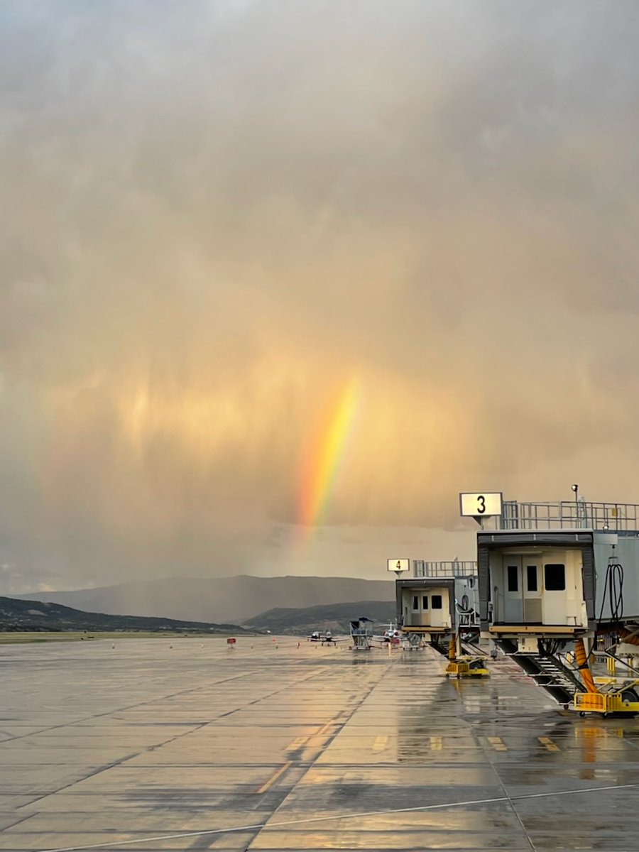 Ash Muir tweet media