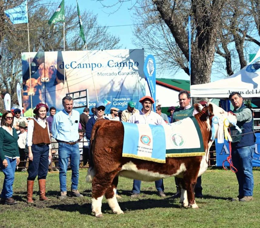 SociedadRural's tweet photo. El vicepresidente 2°, directores, delegados y el Ateneo de la SRA, participaron de la Expo Feria de Curuzú Cuatiá, que cumplió 100 años. Además, se realizó la Nacional de Hereford, Expo Braford, Brangus y Criolla. Gracias Corrientes por recibirnos! https://t.co/WGGel20TjQ