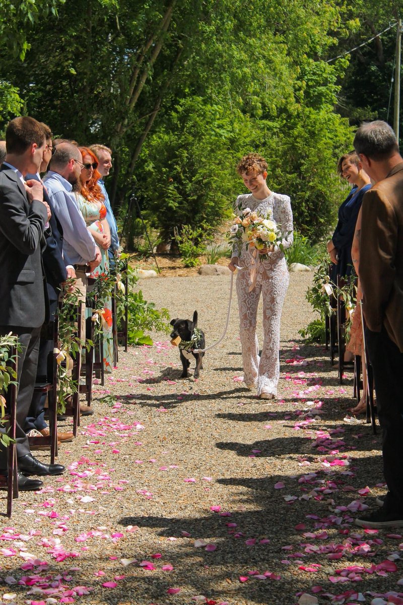maddy_zaddy's tweet photo. my best friend walked me down the aisle @dog_rates 17/10 best girl i would say https://t.co/Rb6miQfyt2