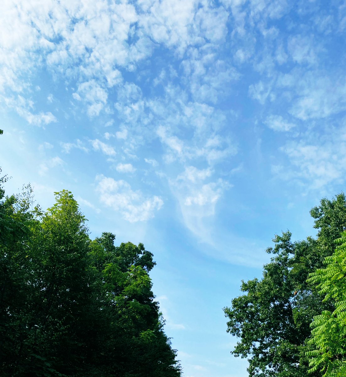 bebeinspace's tweet photo. #woods "A 100-foot tree, 18 inches diameter at its base, produces 6,000 pounds of oxygen." #Didyouknow #imanut ๐คช #oxygen ๐ณ๐ฌ https://t.co/9MYxJyuS9F