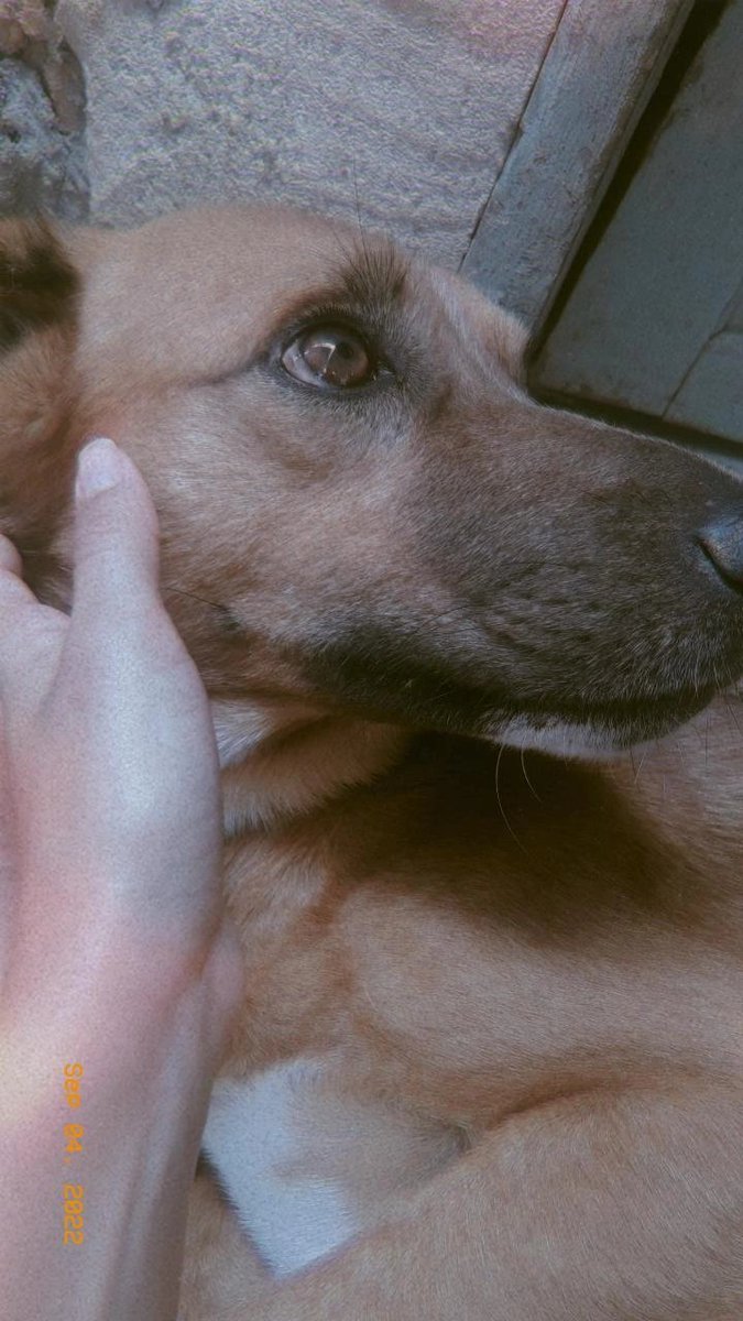 Q coisinha mais linda 💓