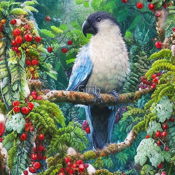 GirihDesign's tweet photo. What should I paint next?

https://t.co/pGvcIF2FoW

#Bird #Birds #Parrot #Parrots #Paradise #Rainforest #Berries #redbubble 🔴 https://t.co/Ew2z4koA59