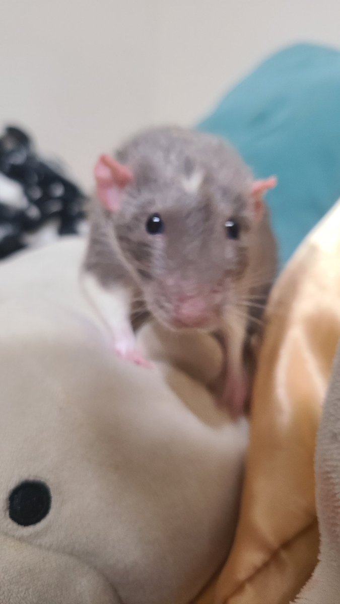 u got games on your phone?