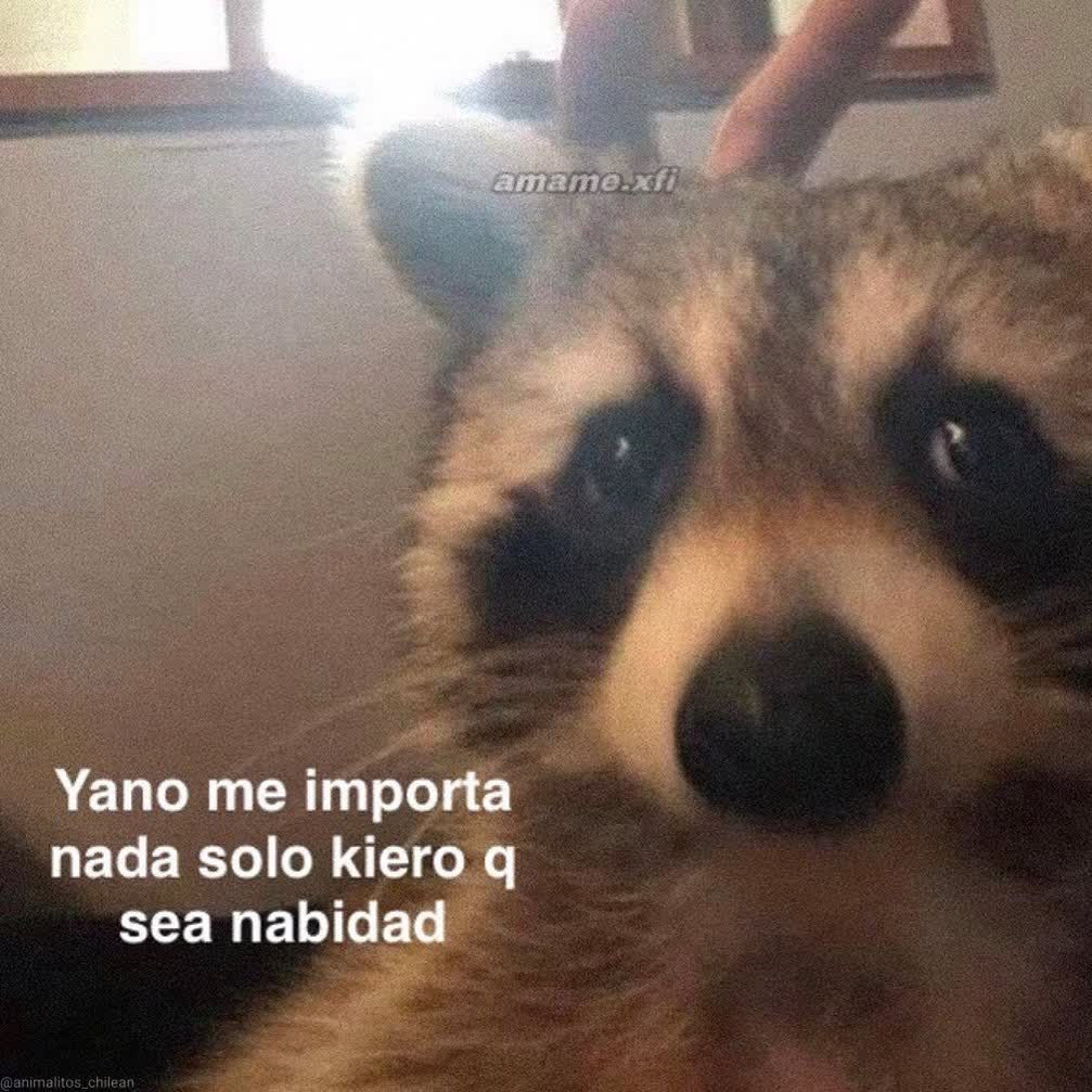 Guarromantico_'s tweet photo. https://t.co/nzMBp44m0G