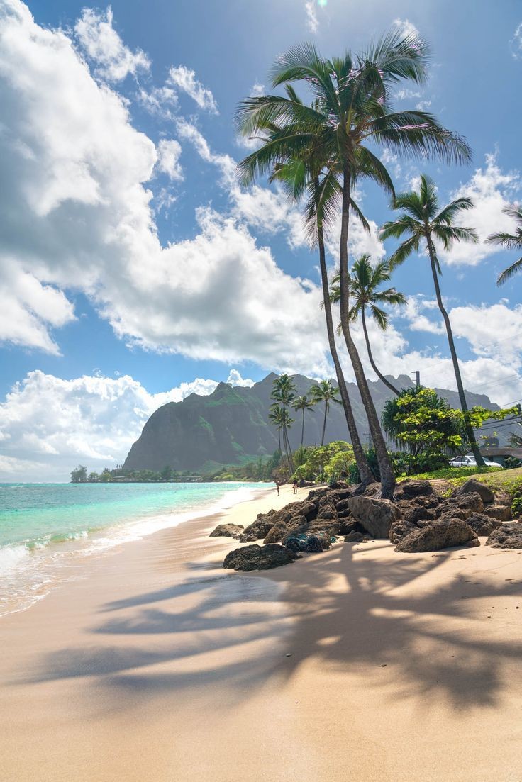 LeenaJuarej1's tweet photo. Hawaii https://t.co/LlgBj6WCX9