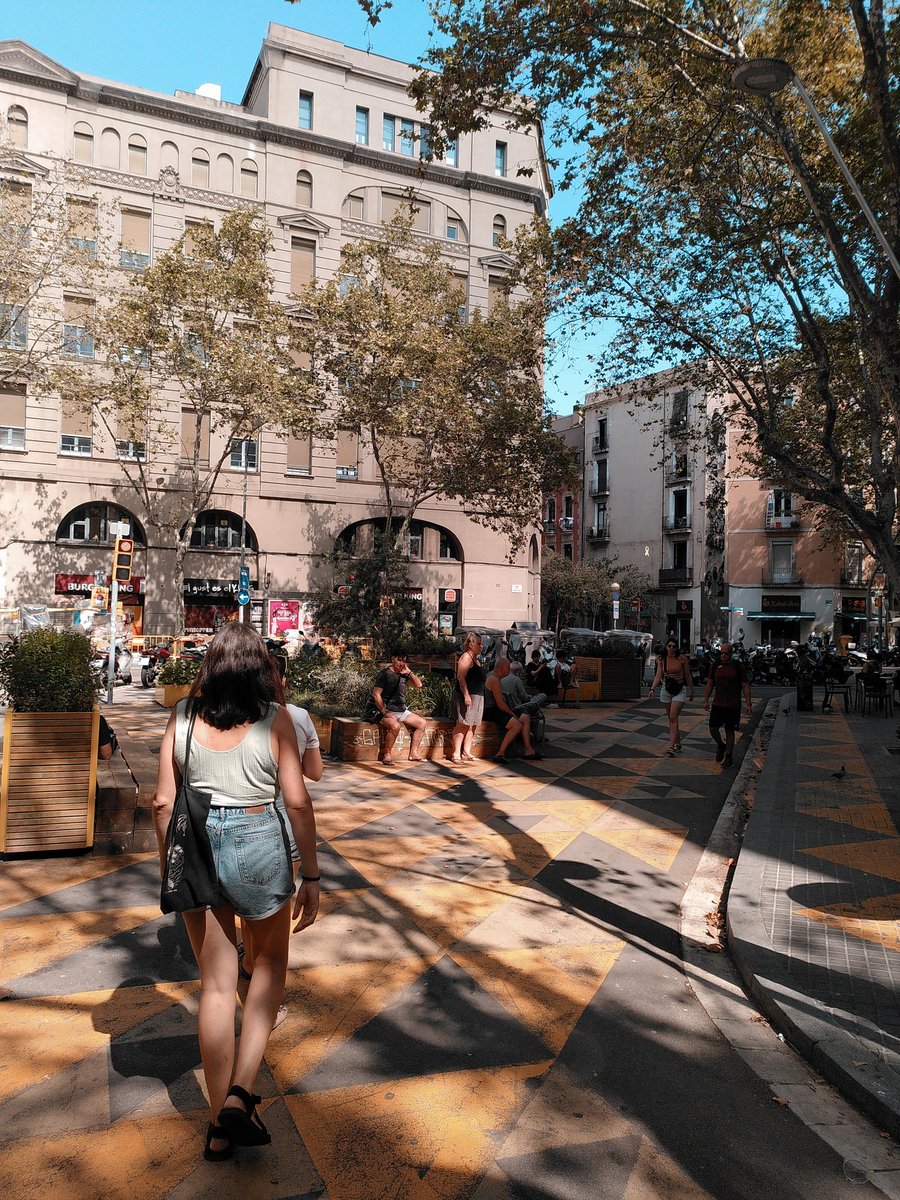 Pascual PG tweet media