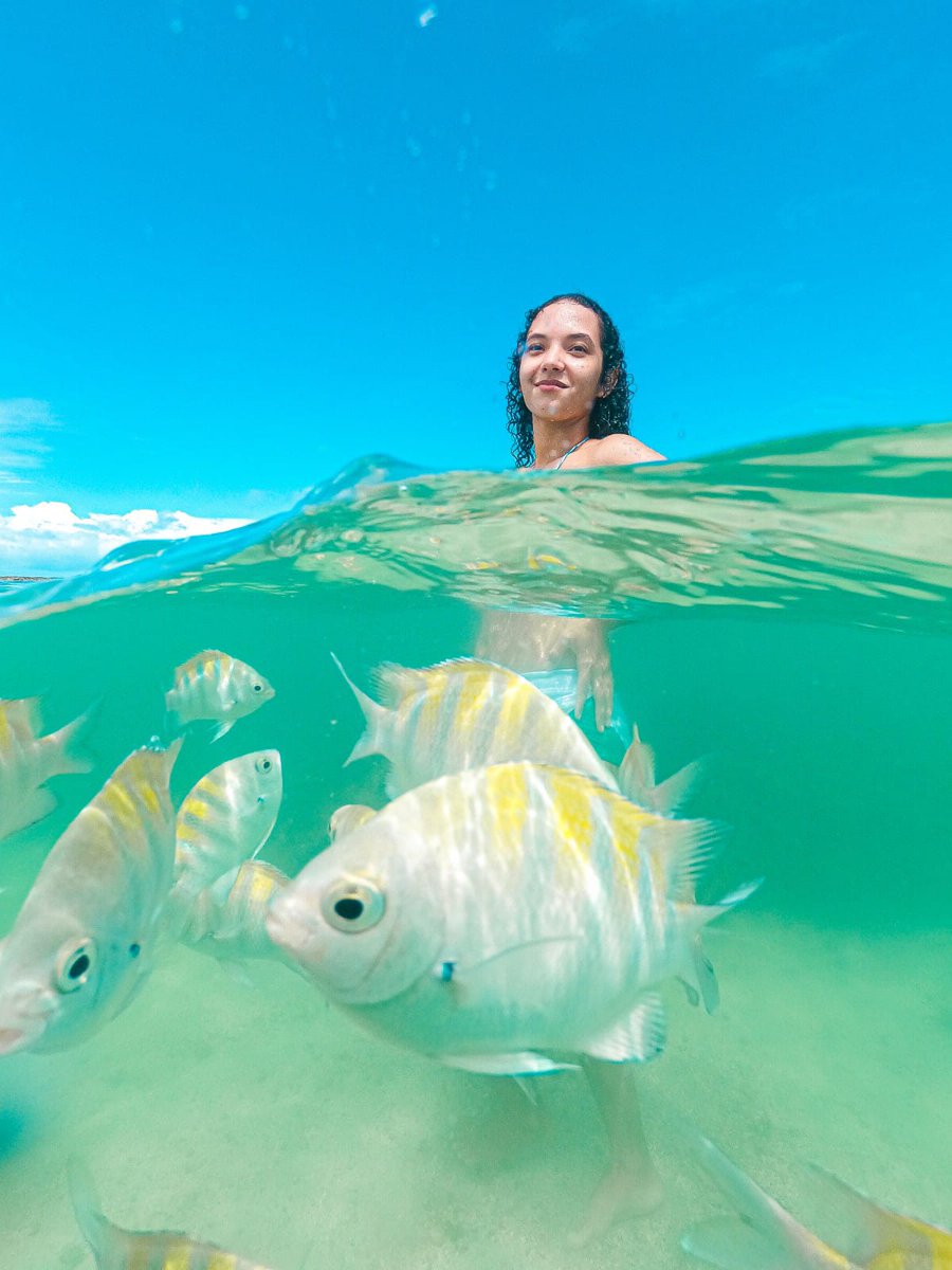 💙 from a nice day